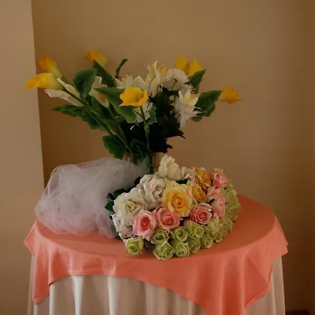 Отель Monica Траглиата